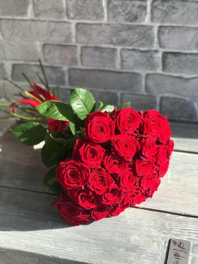 Букет Красные розы Фридом в Вишняково