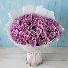 Букет цветов из:  Хризантемы #REPLACE_PRED# Вишняково