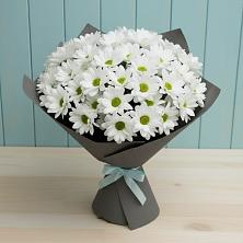 Букет цветов из:  Хризантемы в Вишняково