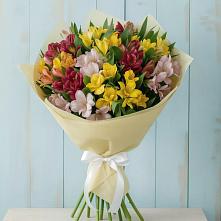 Букет цветов из:  Альстромерии #REPLACE_PRED# Вишняково